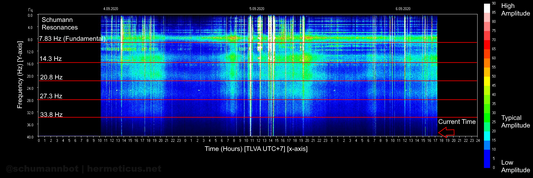 The Schumann Resonance: Global Electromagnetics
